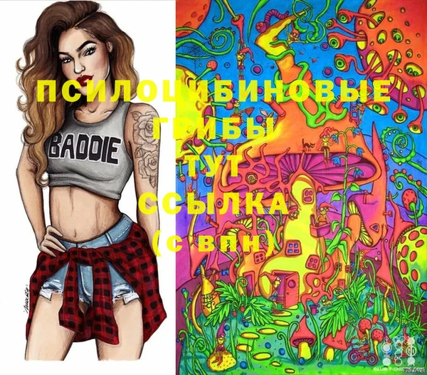 соль ск Аркадак