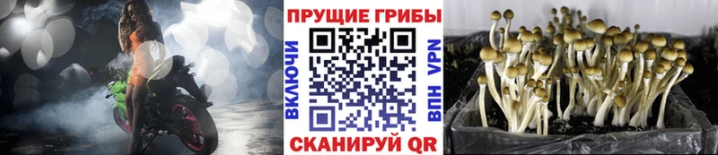 Галлюциногенные грибы Magic Shrooms кракен онион Аткарск